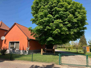 Müritzurlaub an der Kastanie in Sembzin